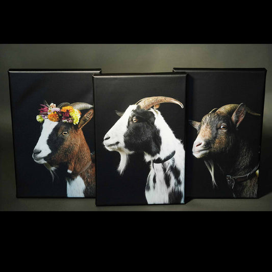 Leinwand, 50 x 70 cm Motiv Moritz