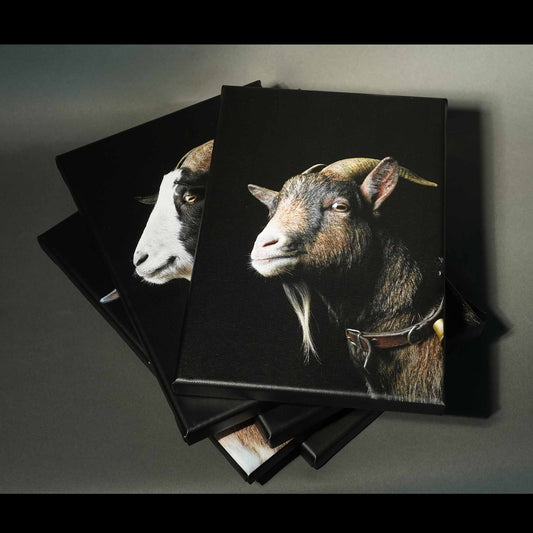 Leinwand, 20 x 30 cm, Anton