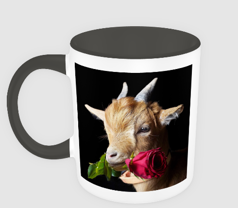 Tasse Bulli